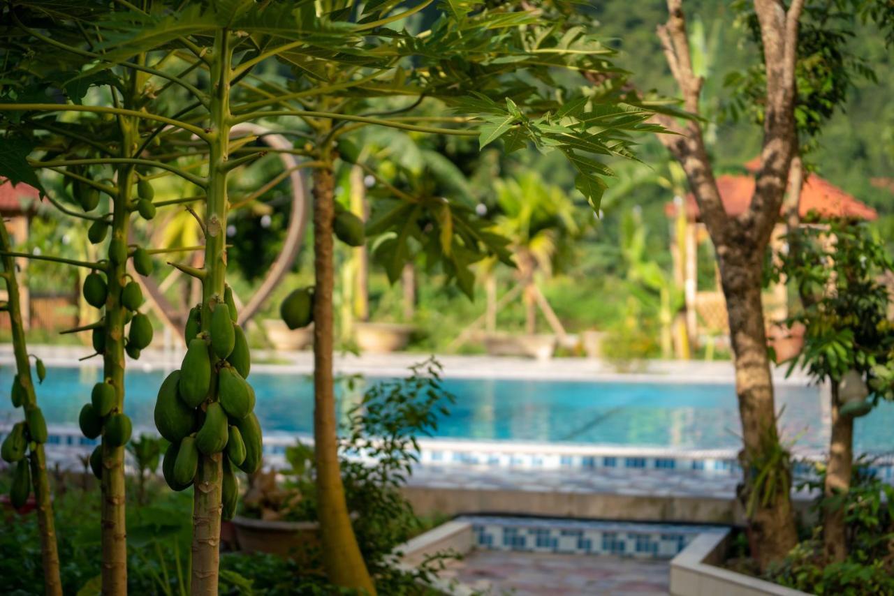 Tan Dinh Farmstay 닌빈 외부 사진