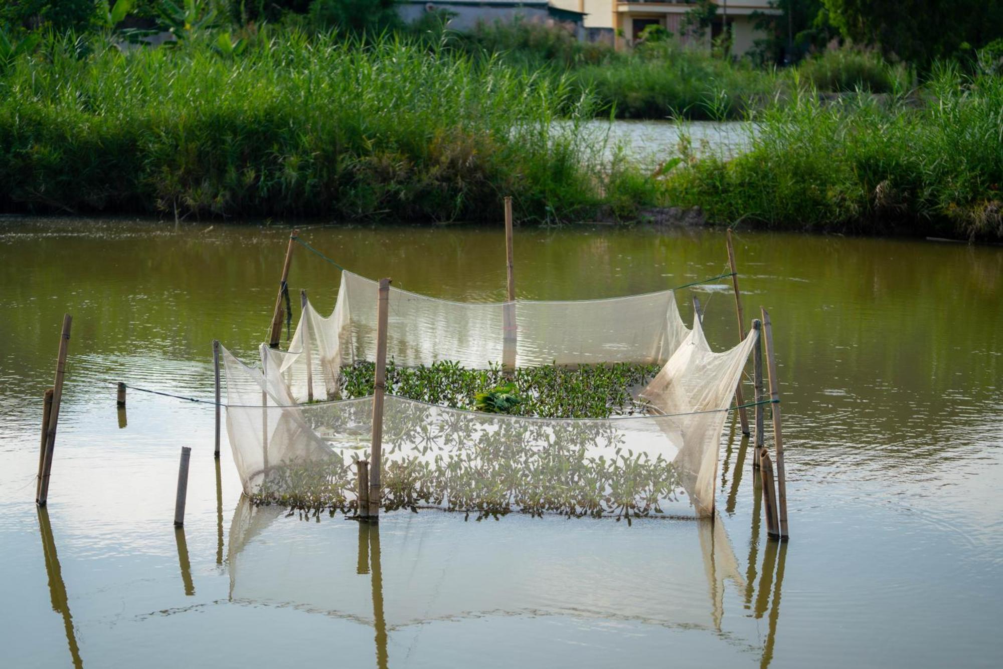 Tan Dinh Farmstay 닌빈 외부 사진